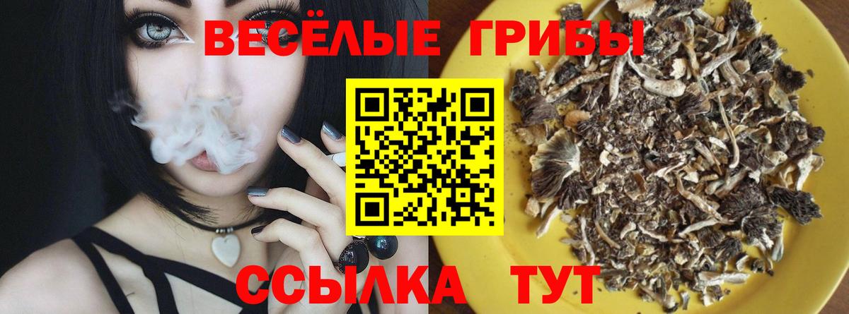 Псилоцибиновые грибы Psilocybine cubensis Солнечногорск