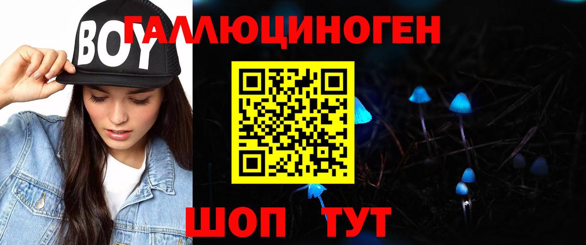 Псилоцибиновые грибы мицелий  Вход с VPN  Солнечногорск 